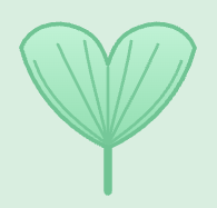 A drawing of a single mint gingko leaf