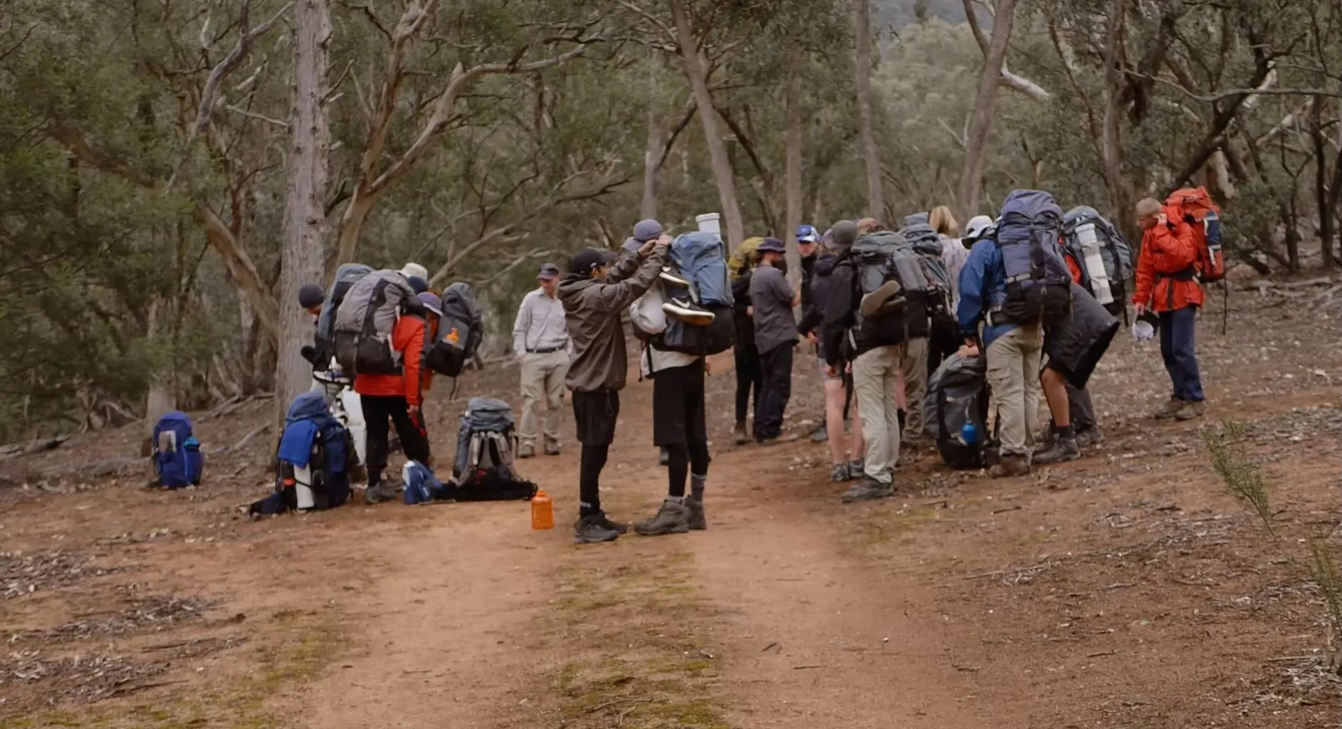 The crew on a bush hike