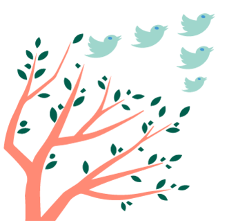 Twitter Ads: A guide to Advertise on Twitter effectively