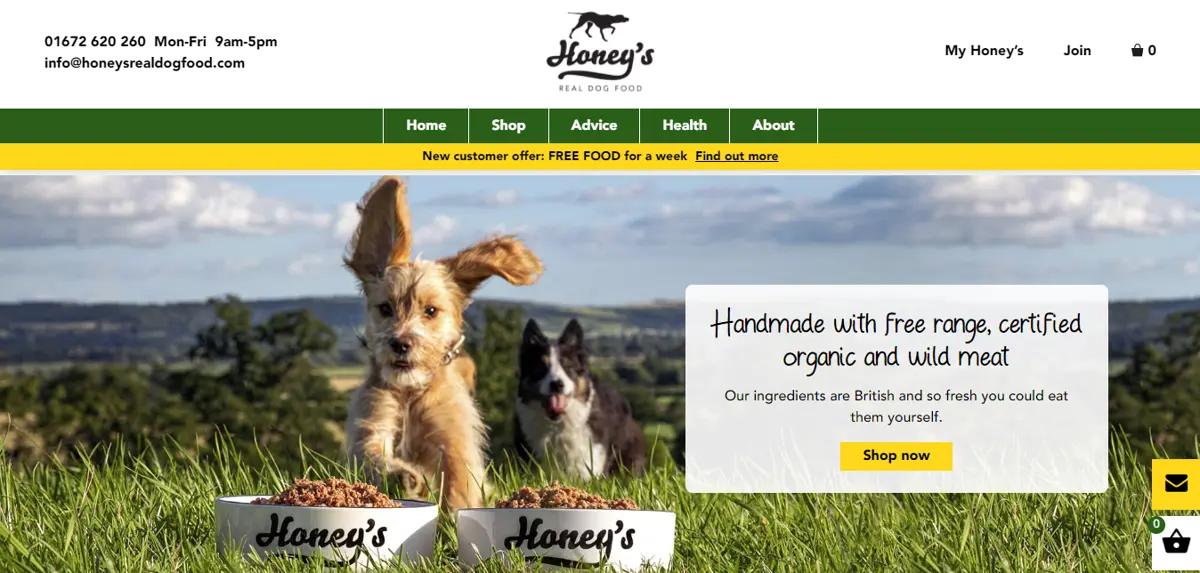 Honey's Real Dog Food Homepage Good content example