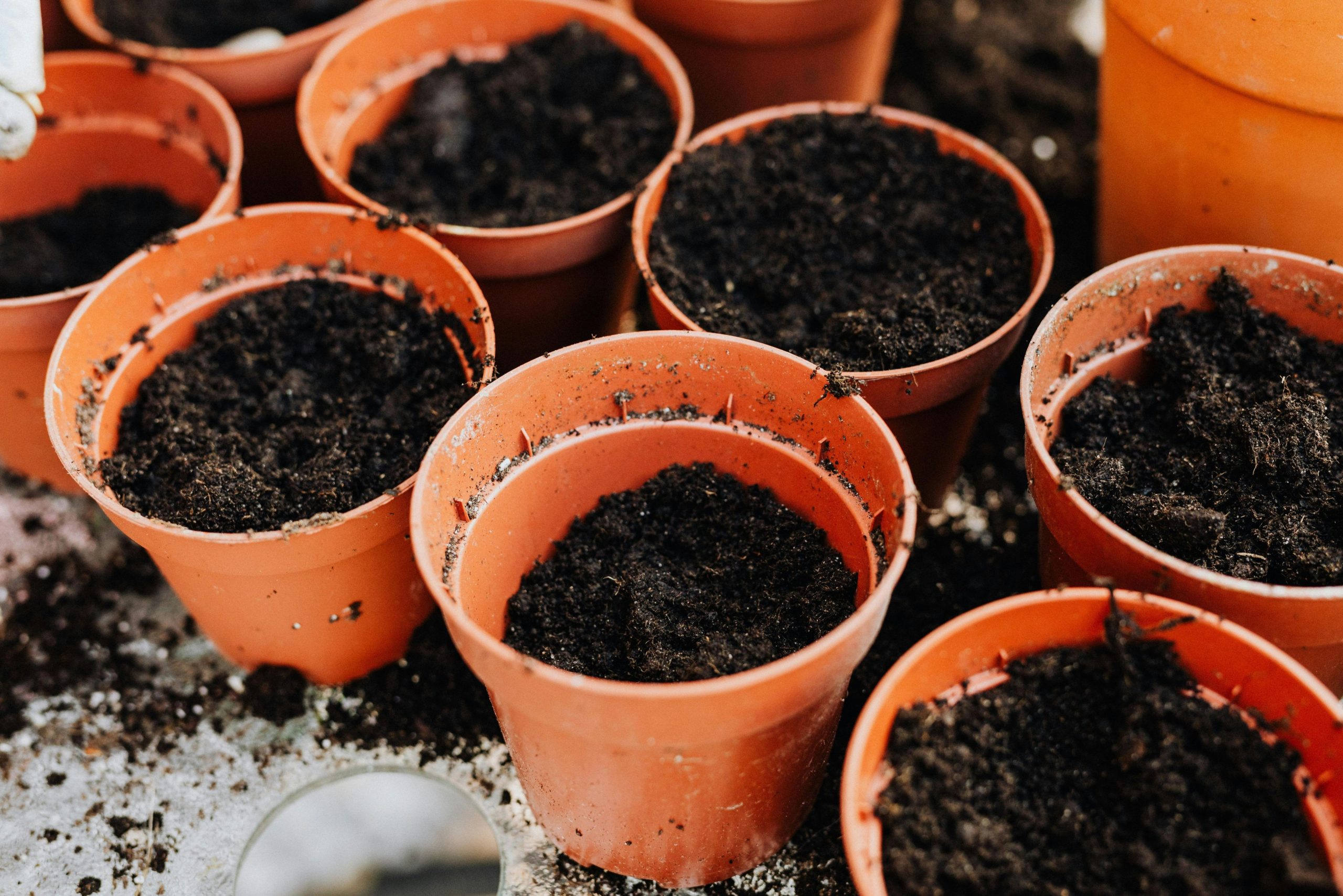 What makes a good potting mix for Perth plants
