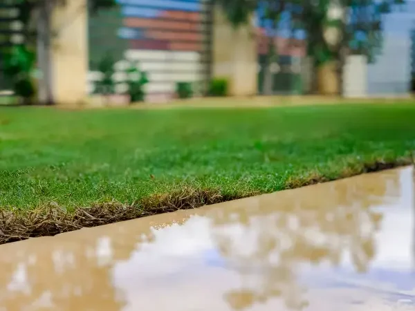 Real grass vs synthetic turf in Perth: what works in WA heat