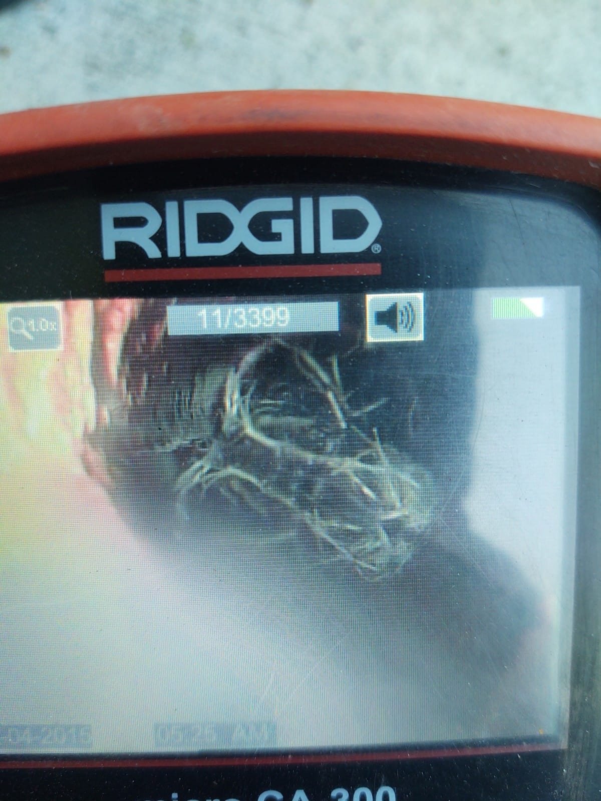 Sewer camera inspection showing root intrusion