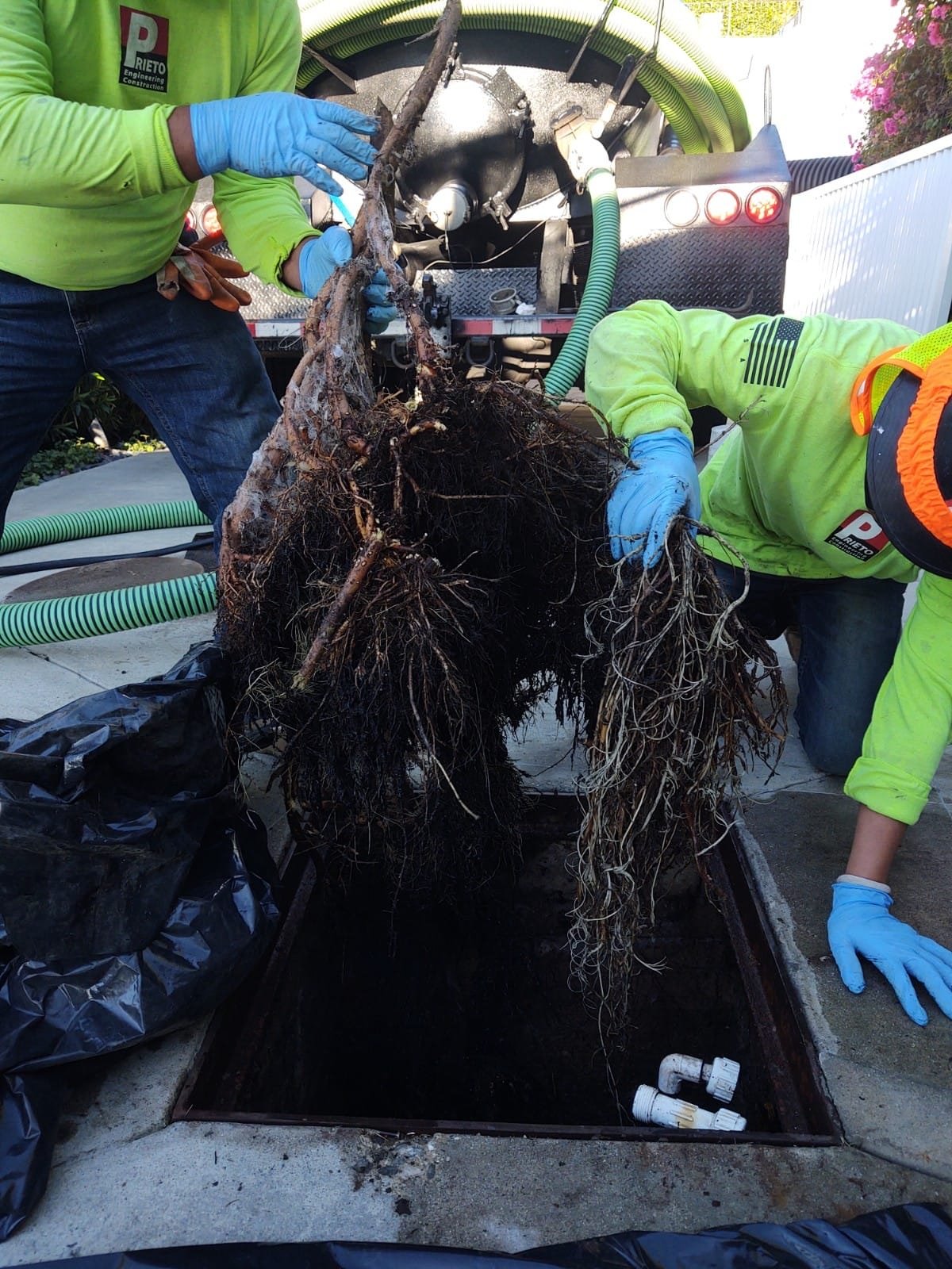 Septic line after root removal and restoration