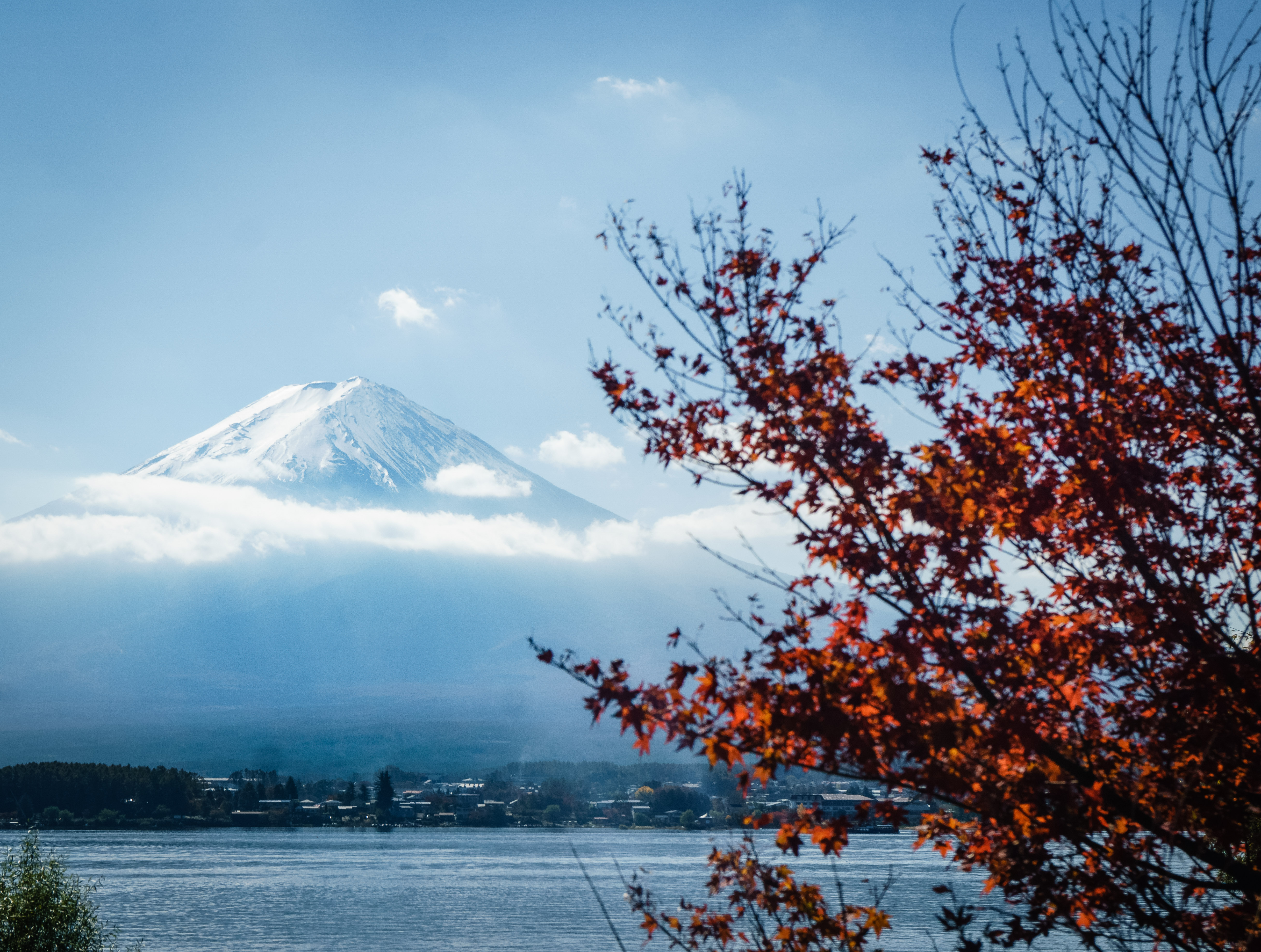 Fuji über einem Wolkenband, davor rotes Herbstlaub am See