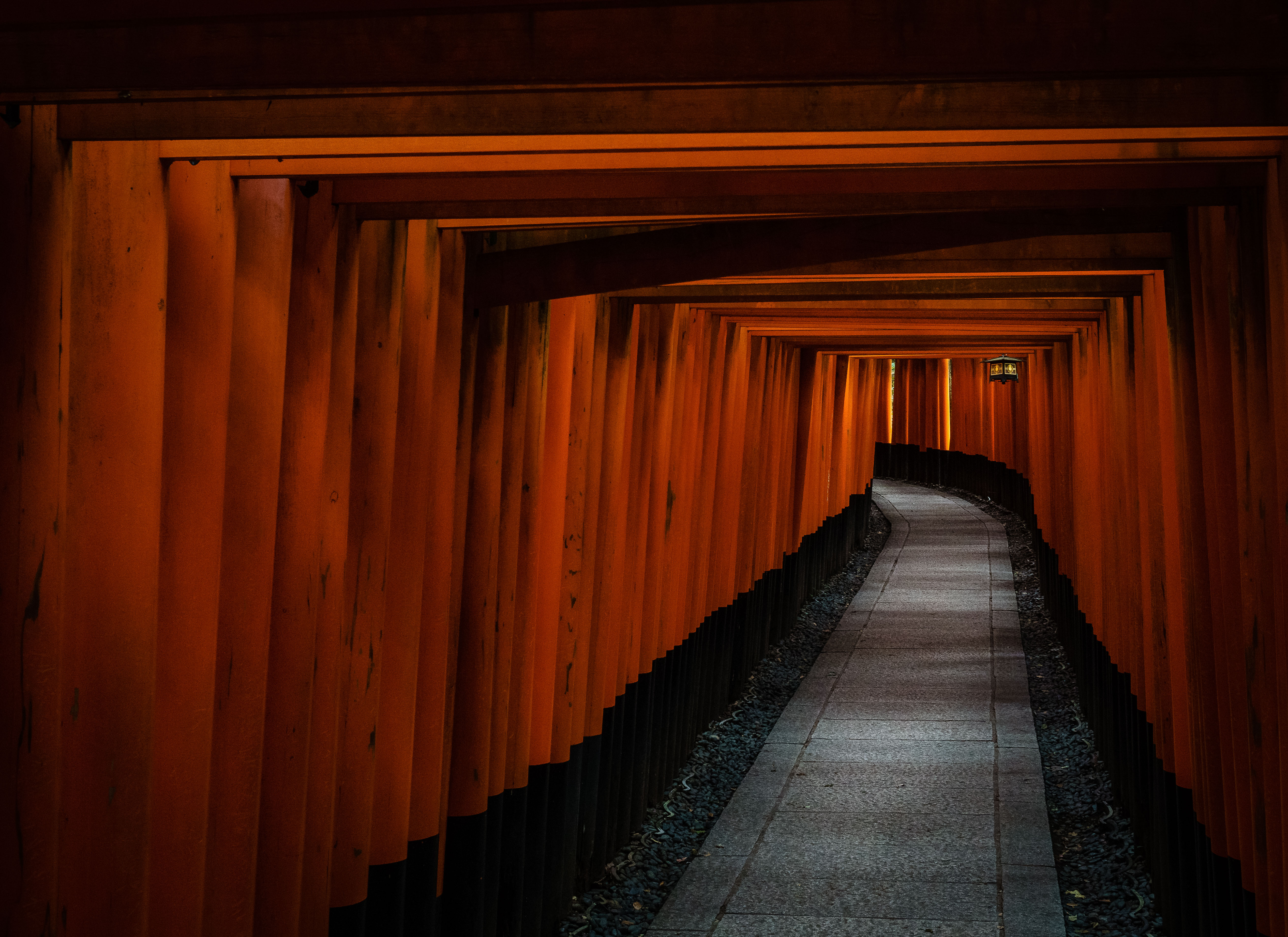 Weg durch einen Tunnel aus orangefarbenen Torii-Toren