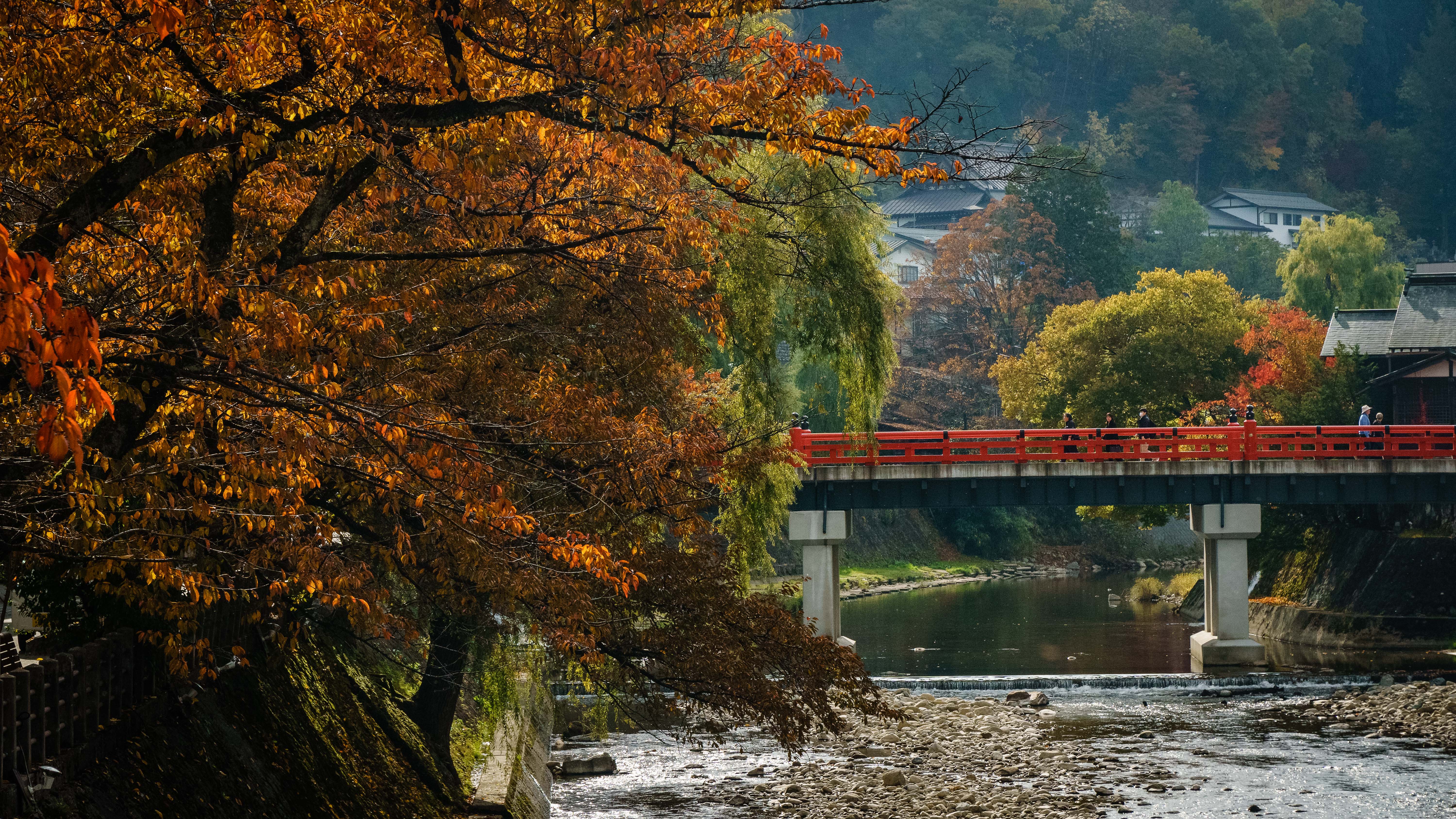 Rote Brücke über einen Fluss, im Vordergrund Herbstlaub