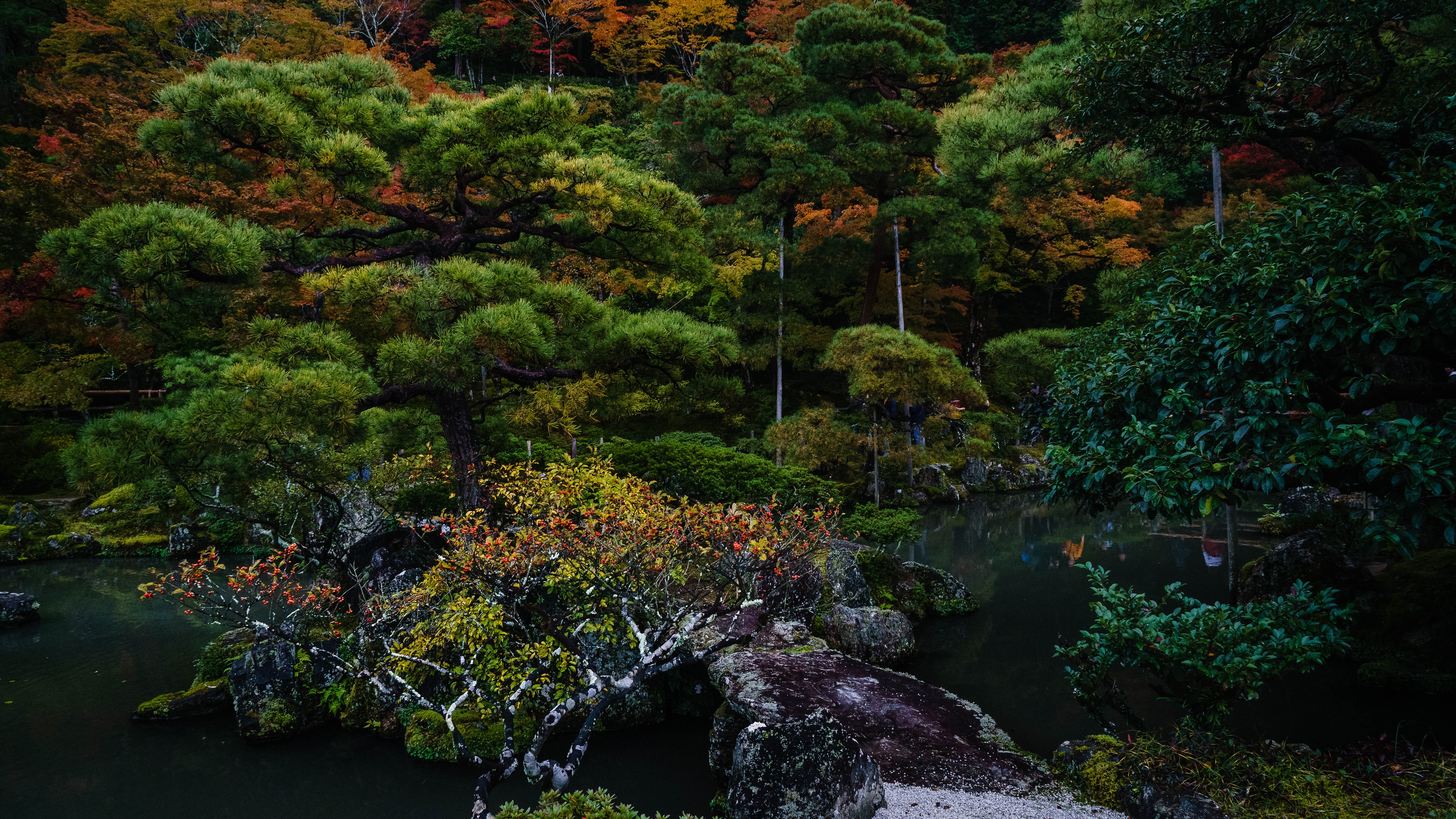 Tempelgarten mit Kiefern, Herbstlaub und dunklem Teich