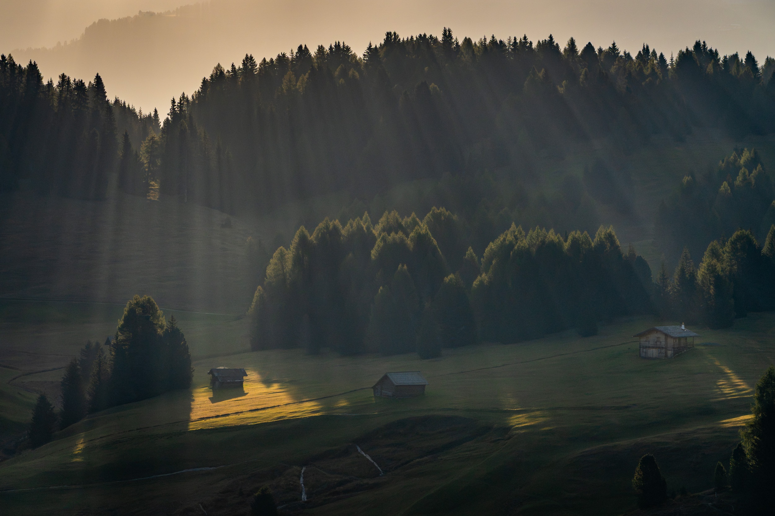 Sonnenstrahlen fallen durch einen Fichtenwald auf eine Almwiese mit Hütten