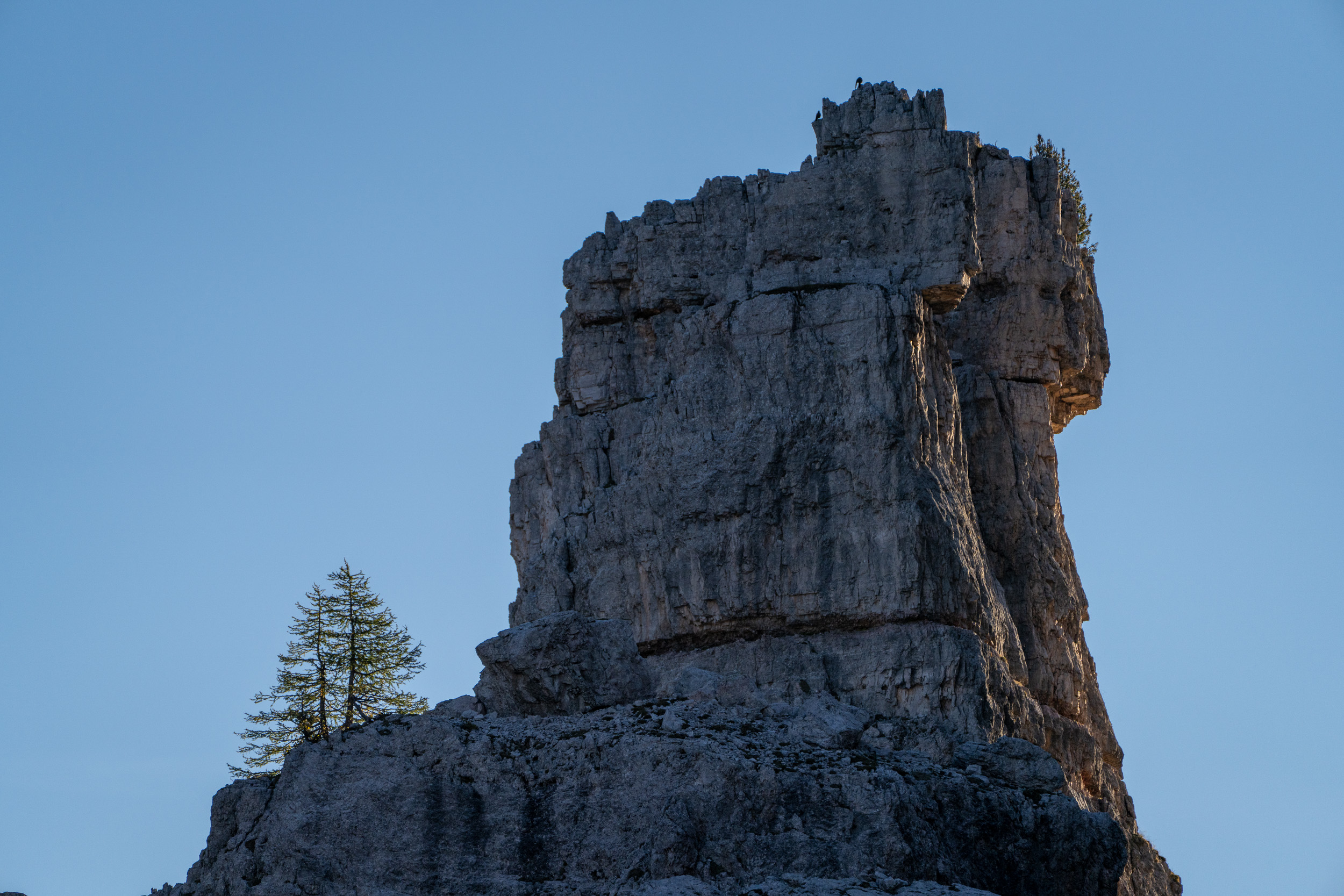 Einzelner Felsturm mit kleiner Lärche vor blauem Himmel