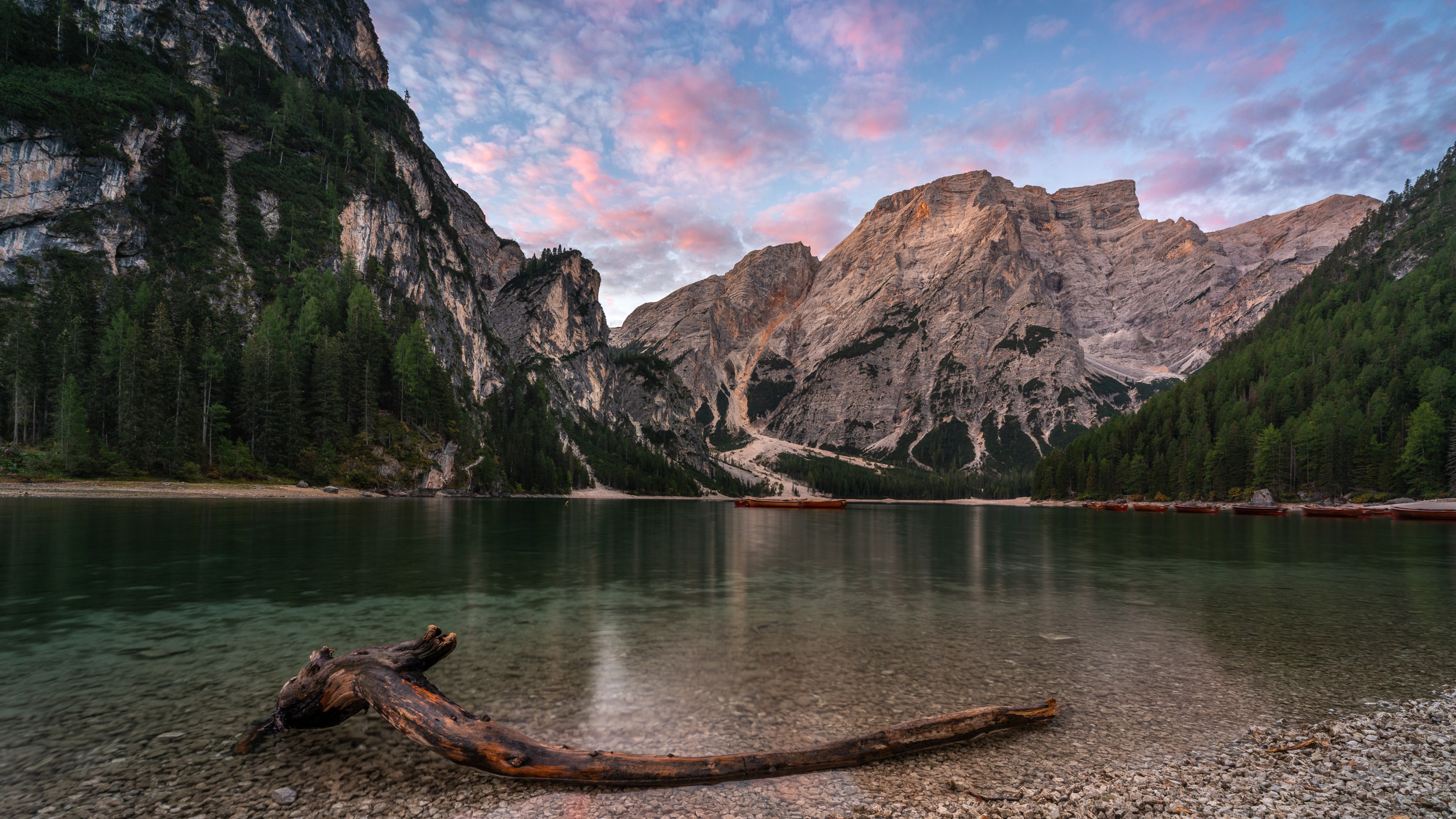 Treibholz am Ufer des Pragser Wildsees, dahinter Felswände unter rosa Wolken