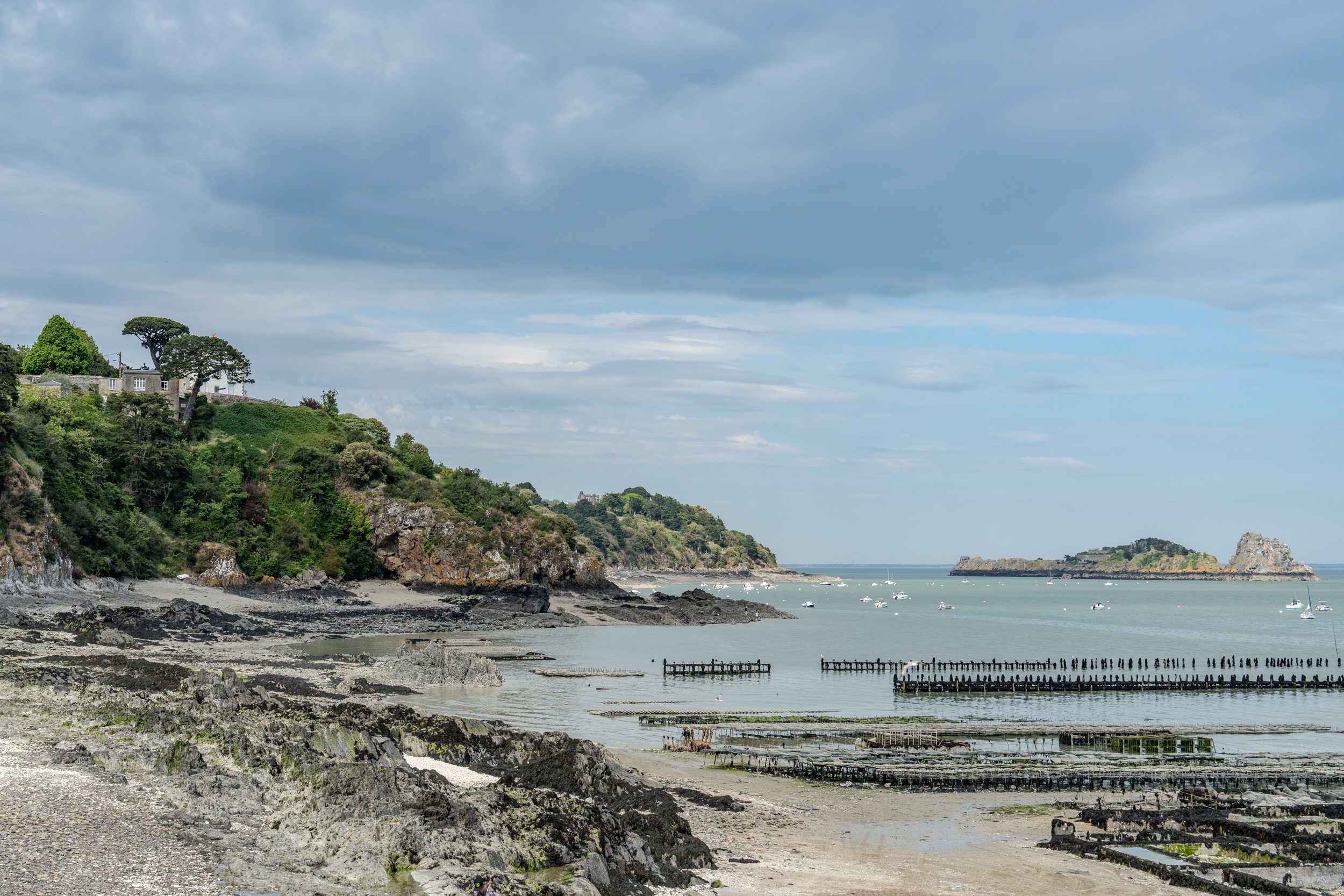 Austernbänke bei Ebbe in der Bucht von Cancale