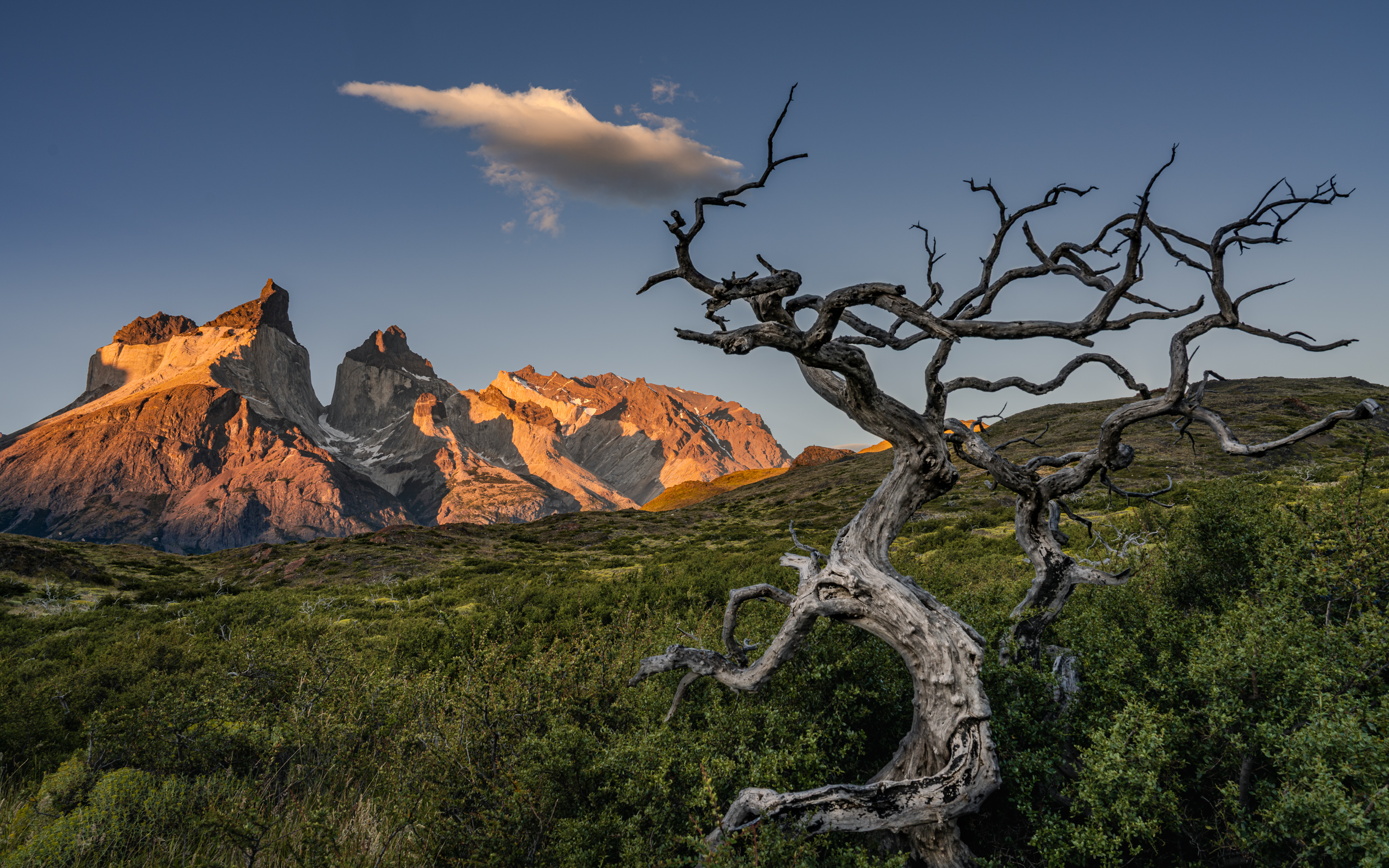 Patagonien