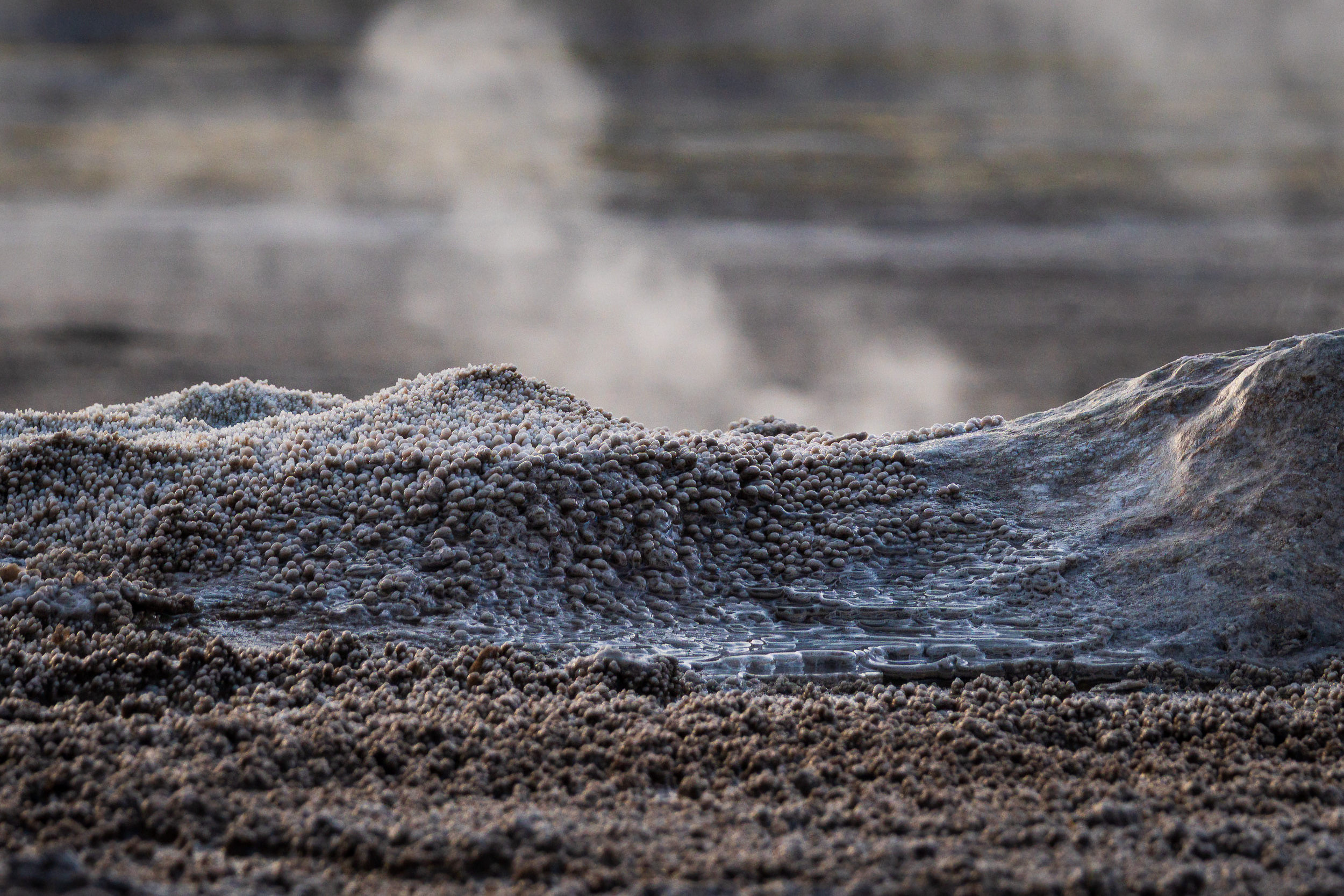 Dampfwolken über dem Geysirfeld von El Tatio