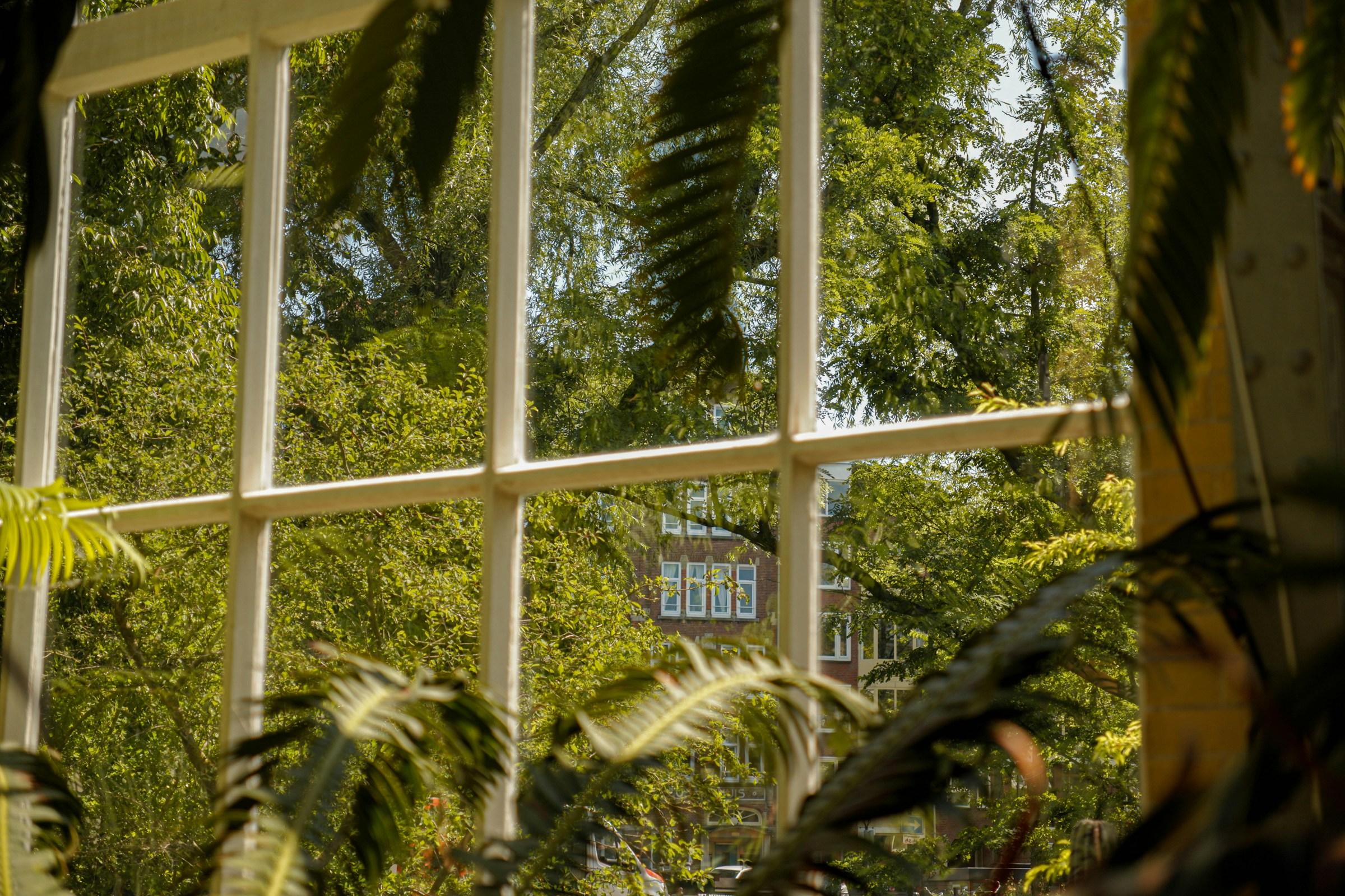 Hilltop kitchen detail 1