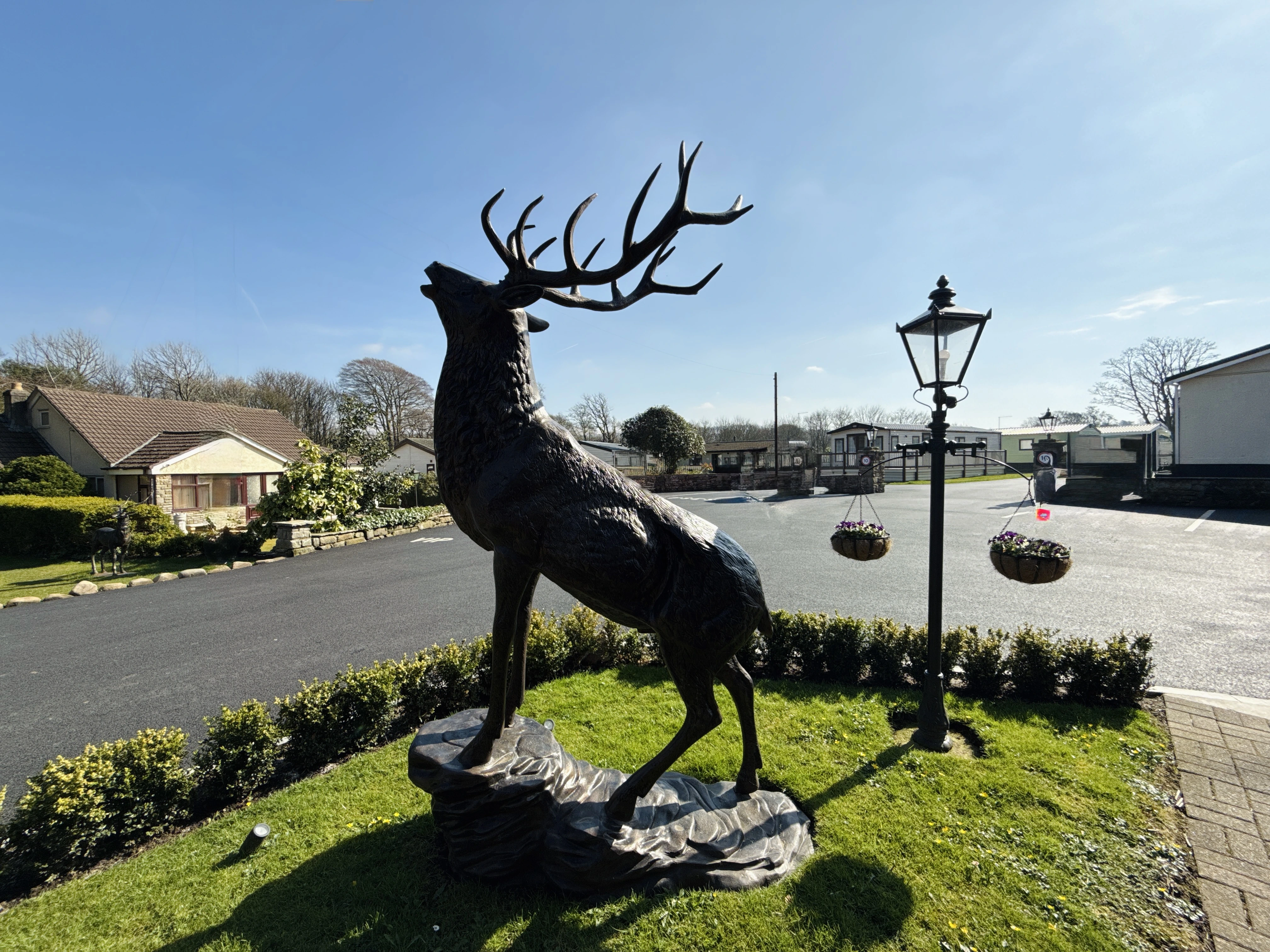 Bronze statue of a stag with large antlers standing on a rock base on a grassy area near a lamp post with hanging flower baskets, with houses and a parking lot in the background under a blue sky.