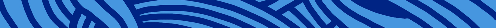 The banner for Monterey Surf School, beautiful blues of different hues creating a soft rolling wave