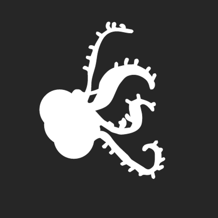 A cute little kraken that lurks all around the website, custom illustrated for the Monterey Surf School