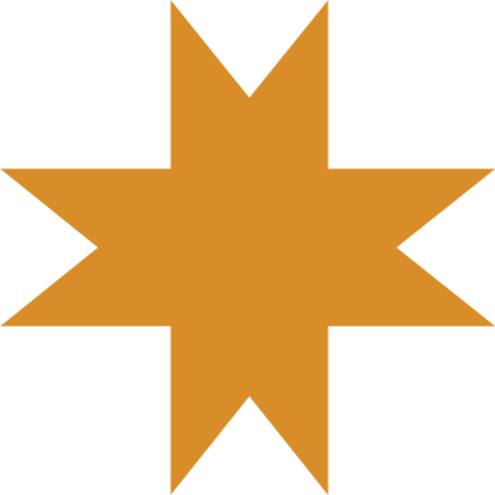 First Nations Star iconography for the Design Museum of Chicago banner project 