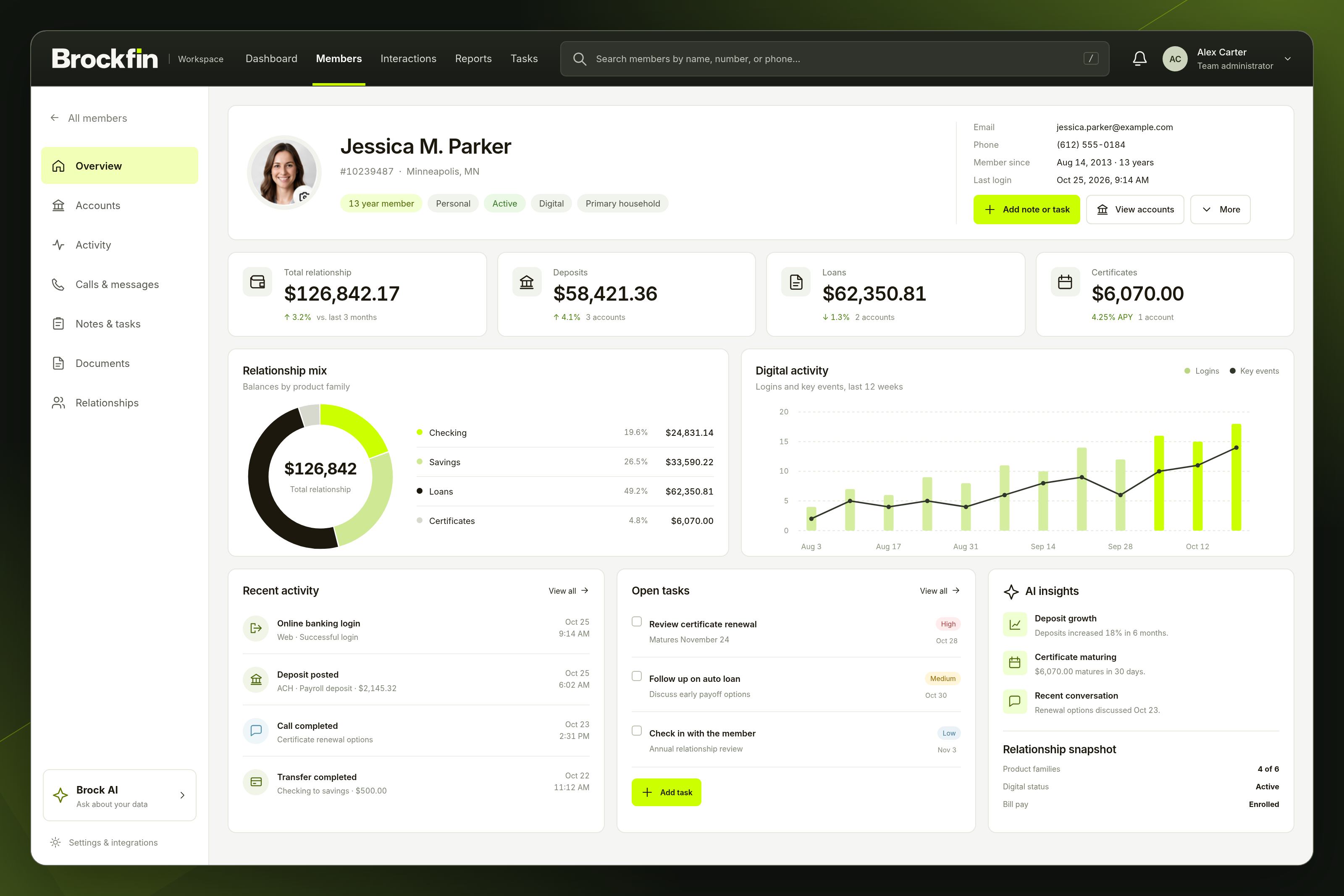 Brockfin Workspace member dashboard with balances, activity, insights, and team tasks
