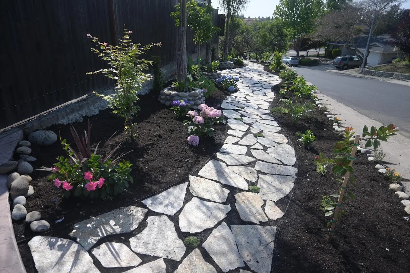 Planting and Garden Design