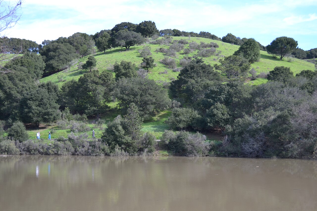 Lake Chabot Regional Park. Photo: Oleg Alexandrov, CC BY-SA 4.0