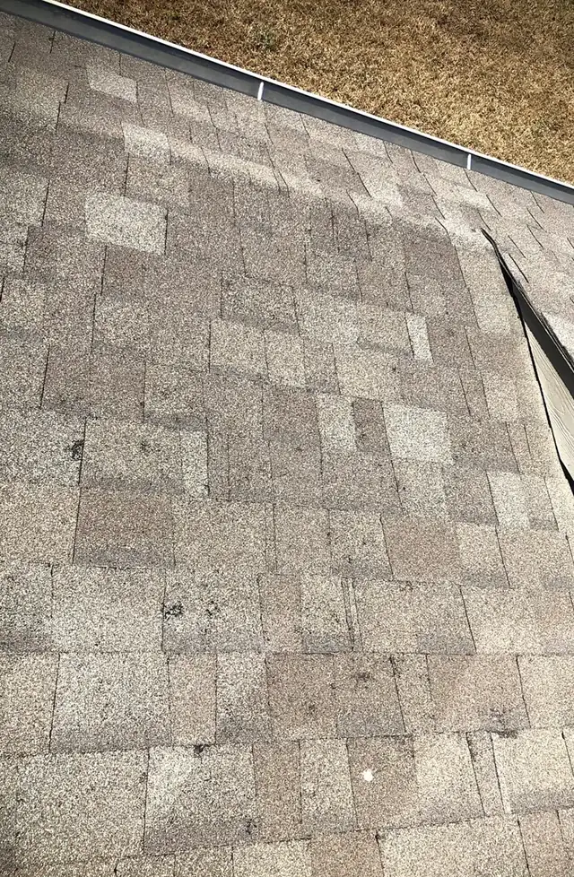 Scattered dark marks across a shingle roof slope
