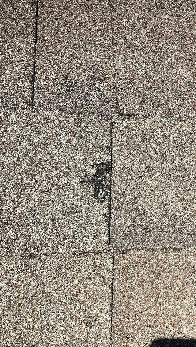 Close-up of a dark spot where granules are missing on a shingle