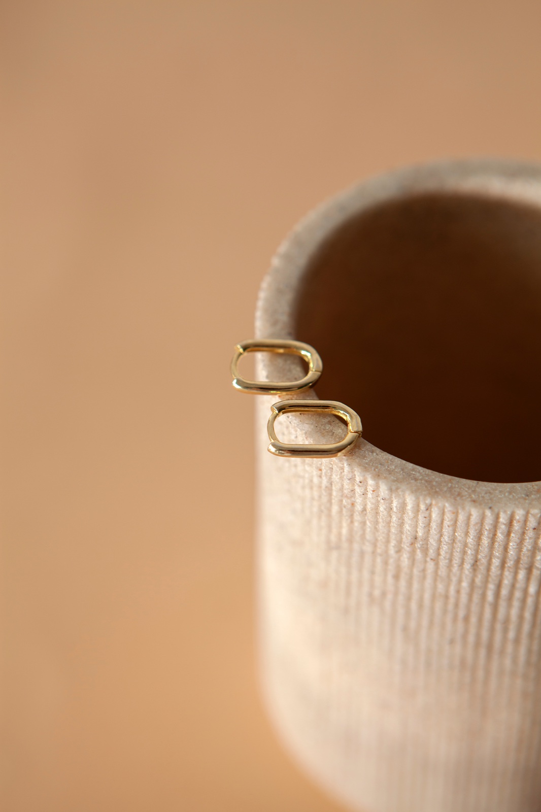 Sculpted Hoops