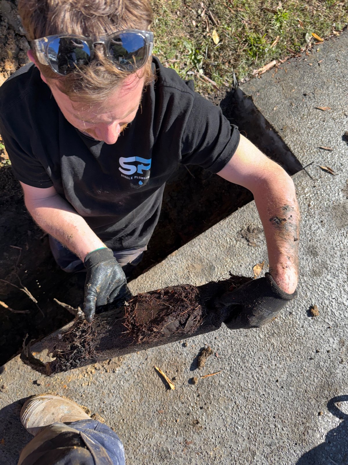 Steele Plumbing plumber holding a section of sewer pipe packed with tree roots, pulled from a trench