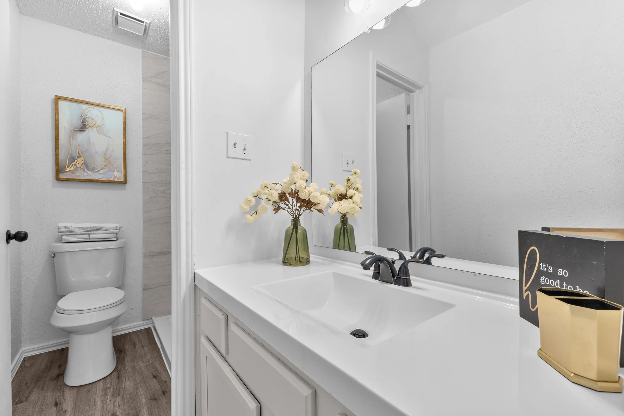 11342 Crescent Peak — Bathroom vanity