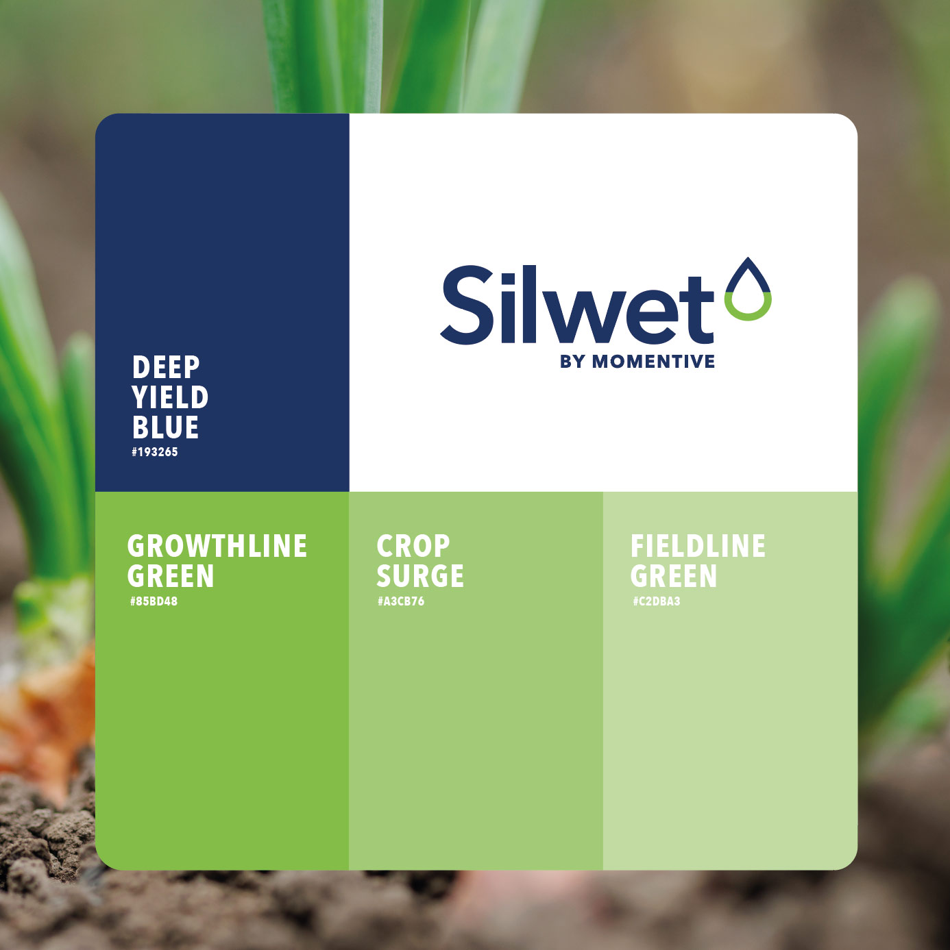 Silwet brand colour palette