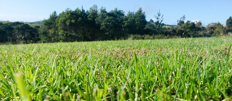 Deal structures for selling land to a developer