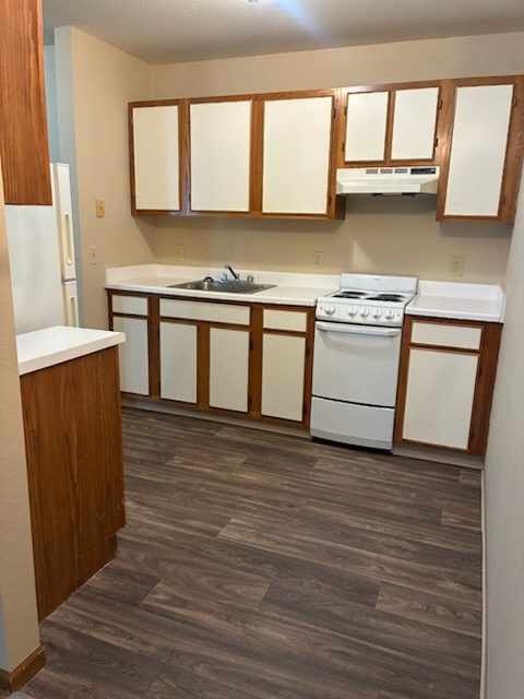 Fawn River Apartments, Sturgis, MI, kitchen