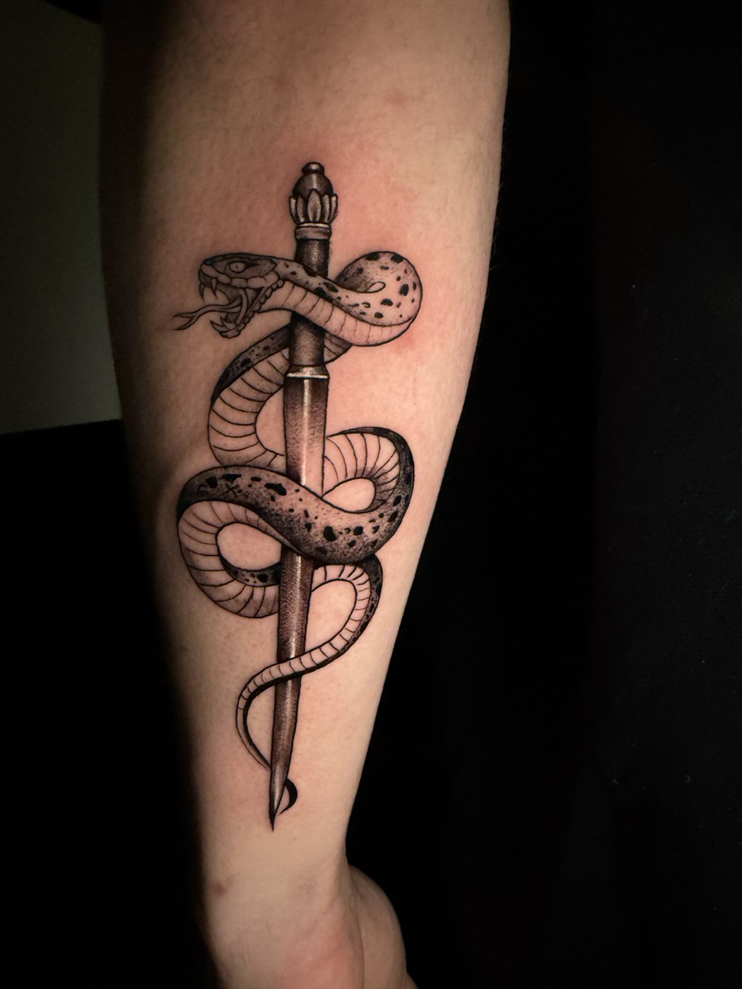 Snake and dagger forearm tattoo by Santiago at Squires Ink, Surfers Paradise