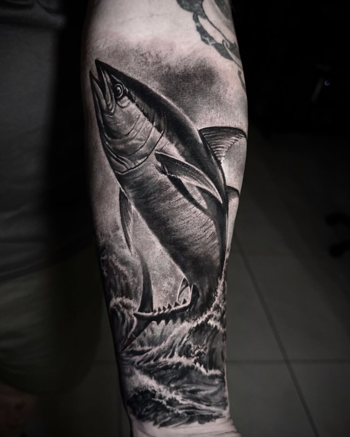 Black and grey realism shark forearm tattoo by Valerio at Squires Ink, Surfers Paradise