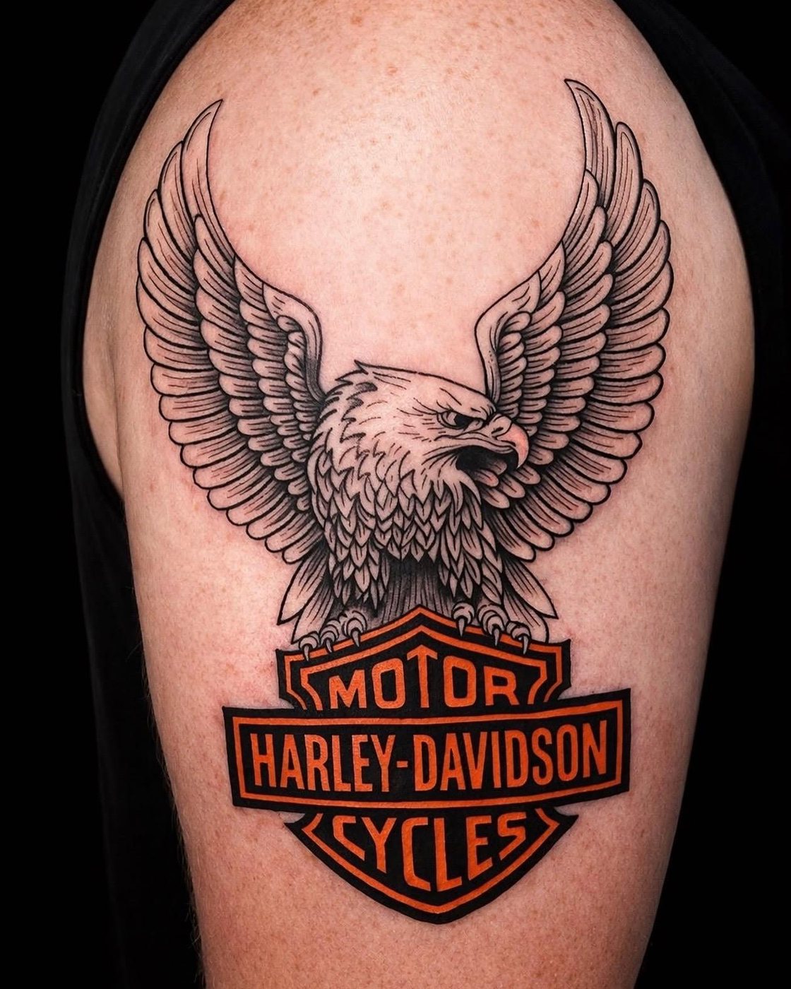American Traditional eagle and Harley-Davidson shield tattoo on the shoulder by Asia at Squires Ink, Surfers Paradise