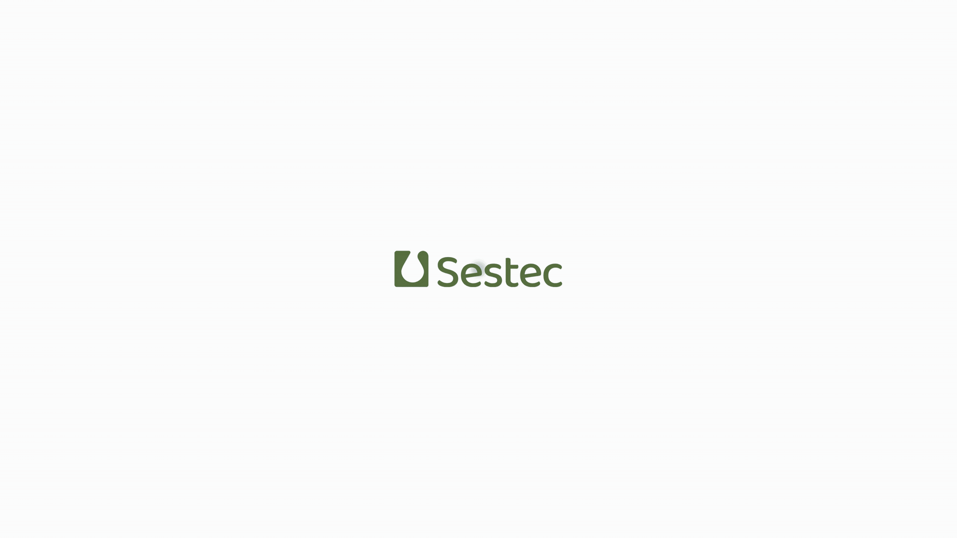 Sestec website preview