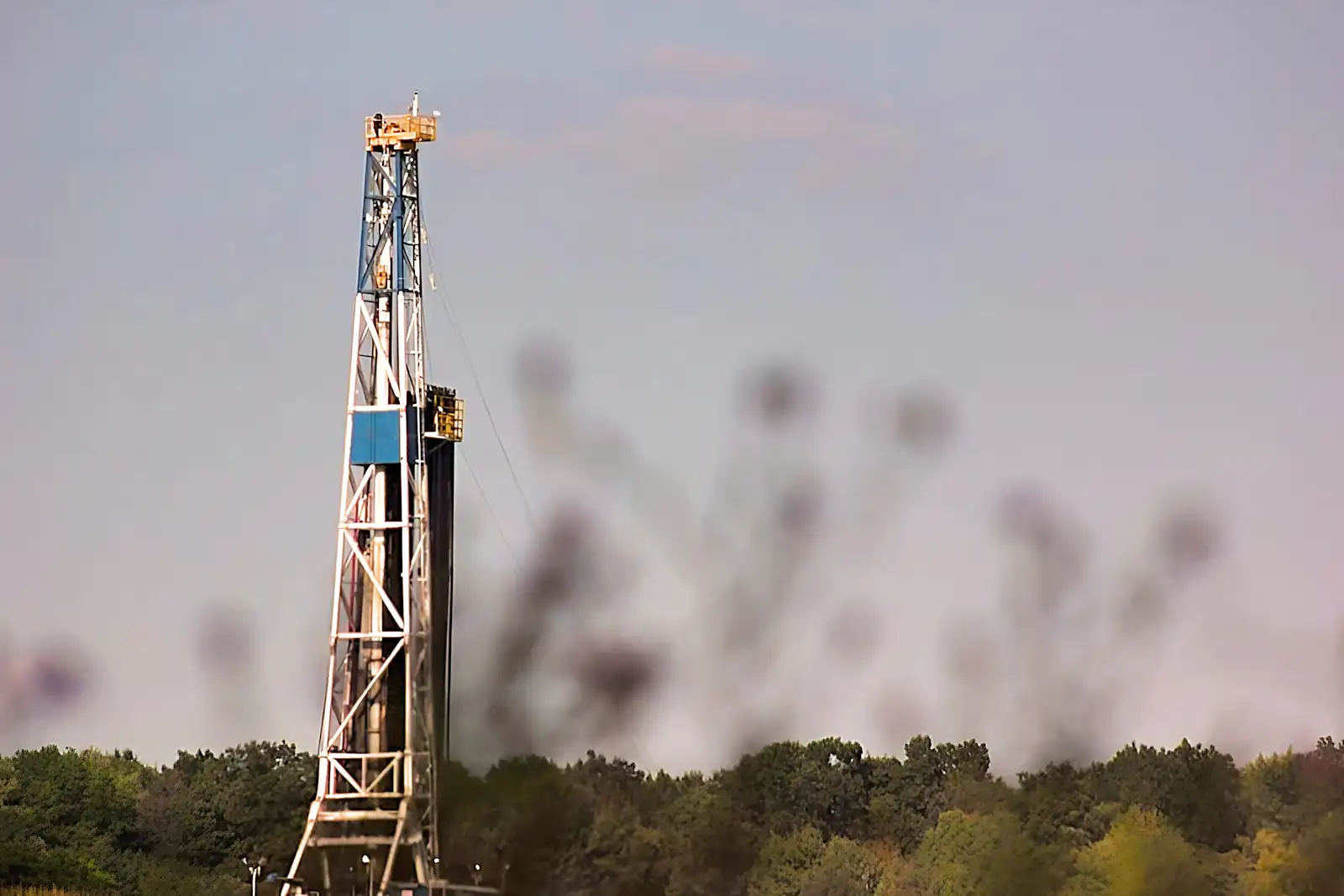 Drilling rig above a tree line