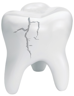 tooth and mirror tool