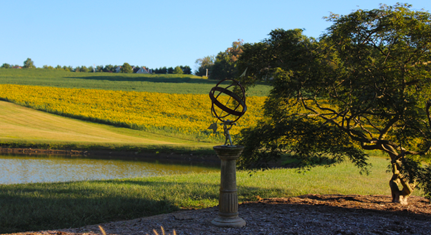 Stone Ridge Hollow