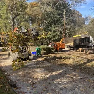Backyard cleaned up after tree work