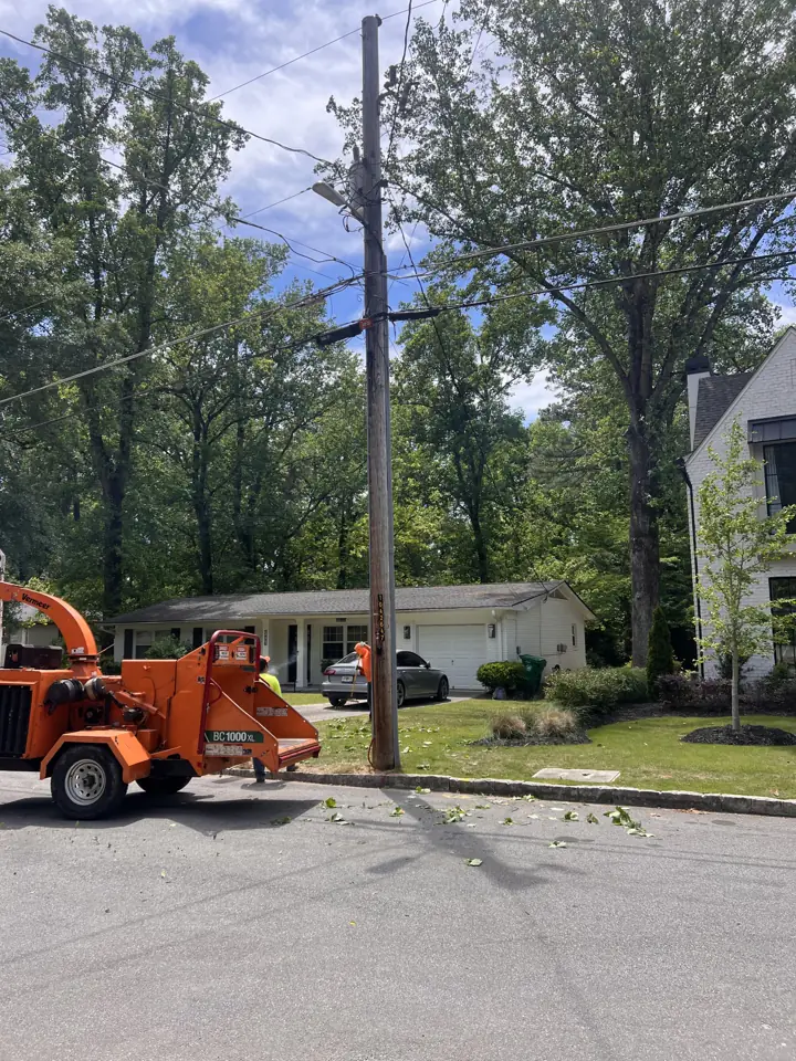 Sergeant Tree Services chipper on the street during a poplar trimming job