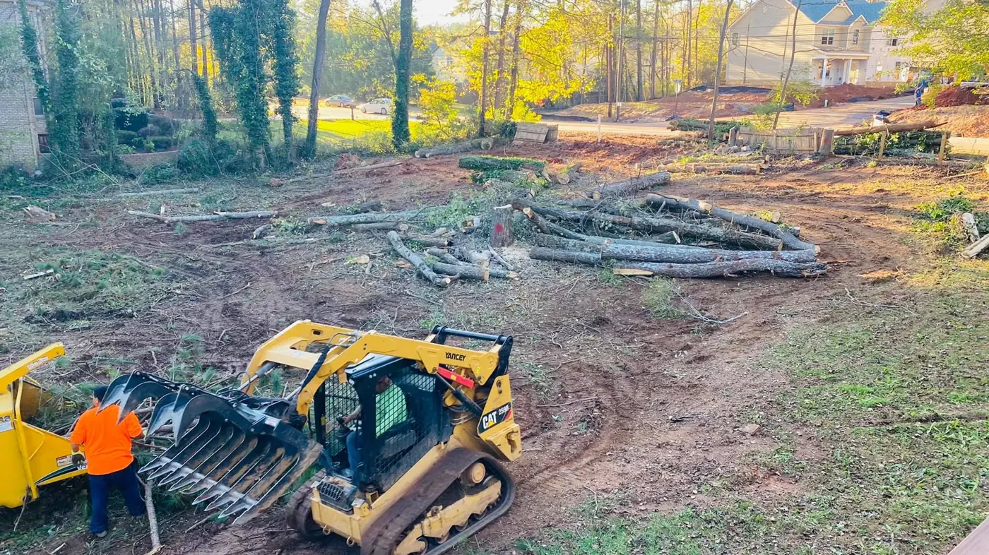Sergeant Tree Services crew clearing a wooded lot with a Bobcat and chipper