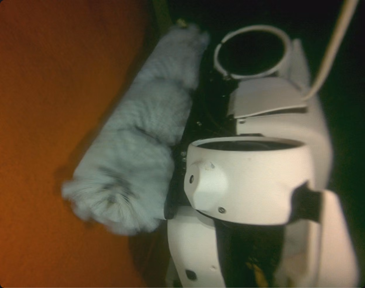 Hullbot robot working close beneath a hull in green water, its white brushes turning and work lights on