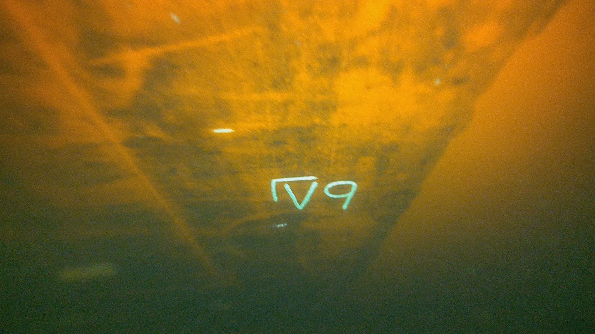Intersleek 1100SR coated panel after three weeks of slime growth