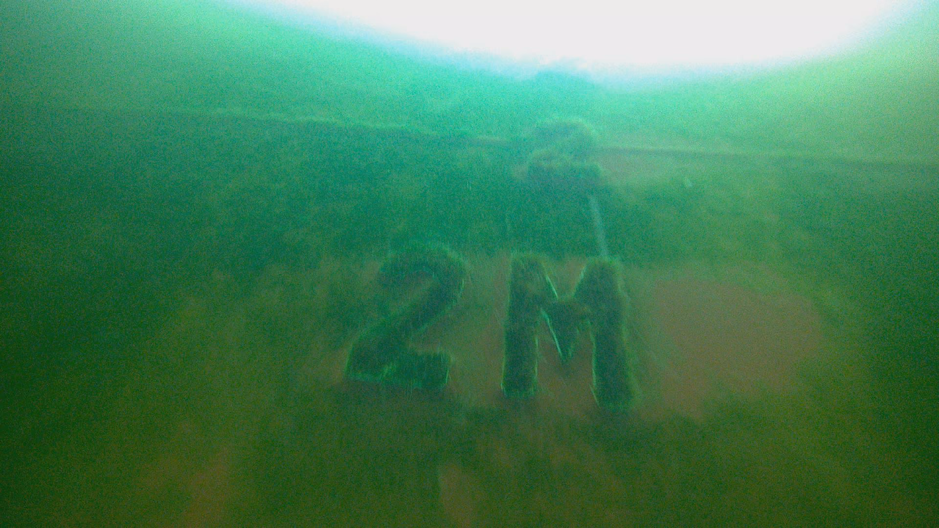 Intercept 8500LPP coated panel after three weeks of slime growth