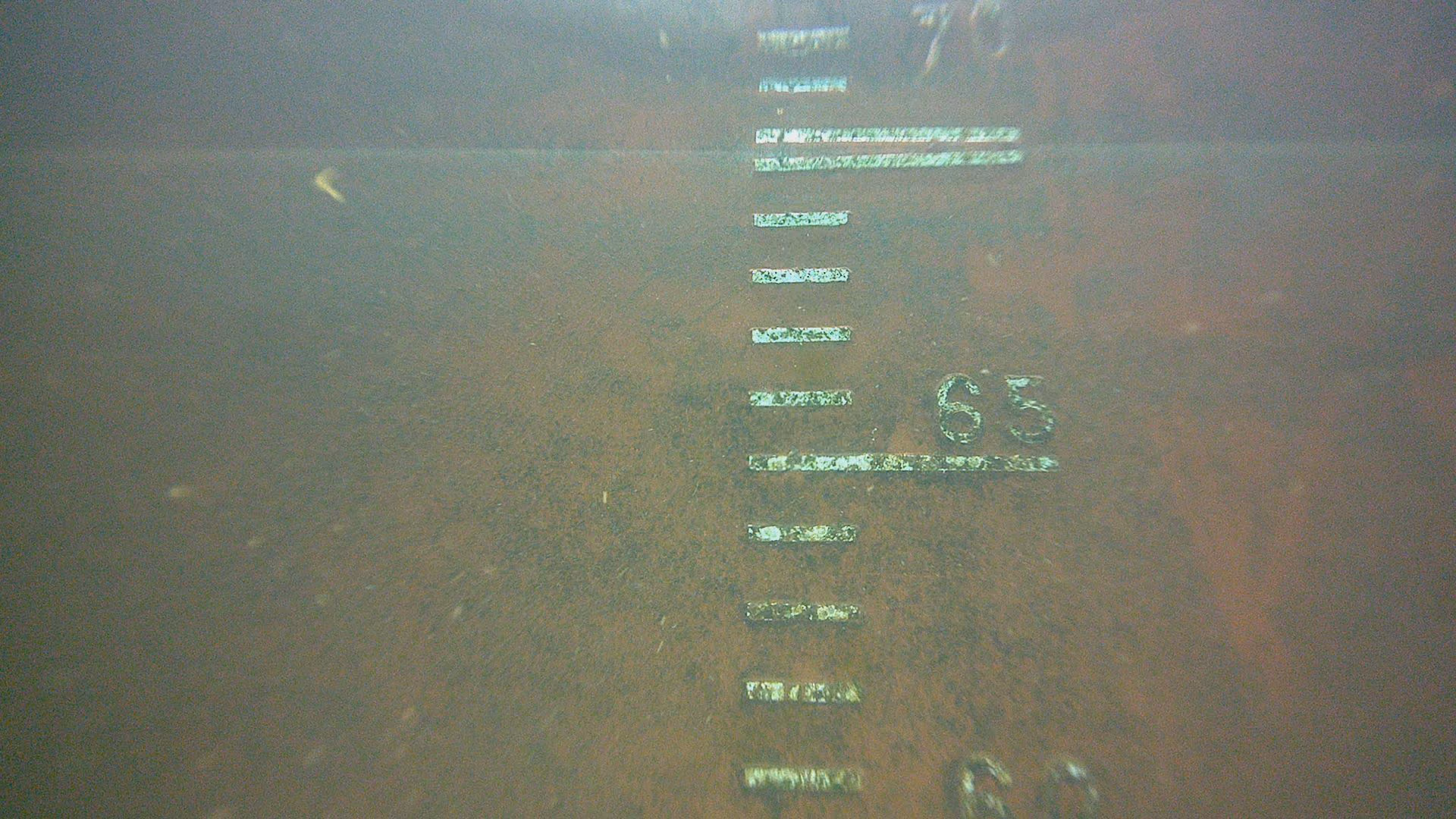 Interspeed 640 coated panel after two weeks of slime growth