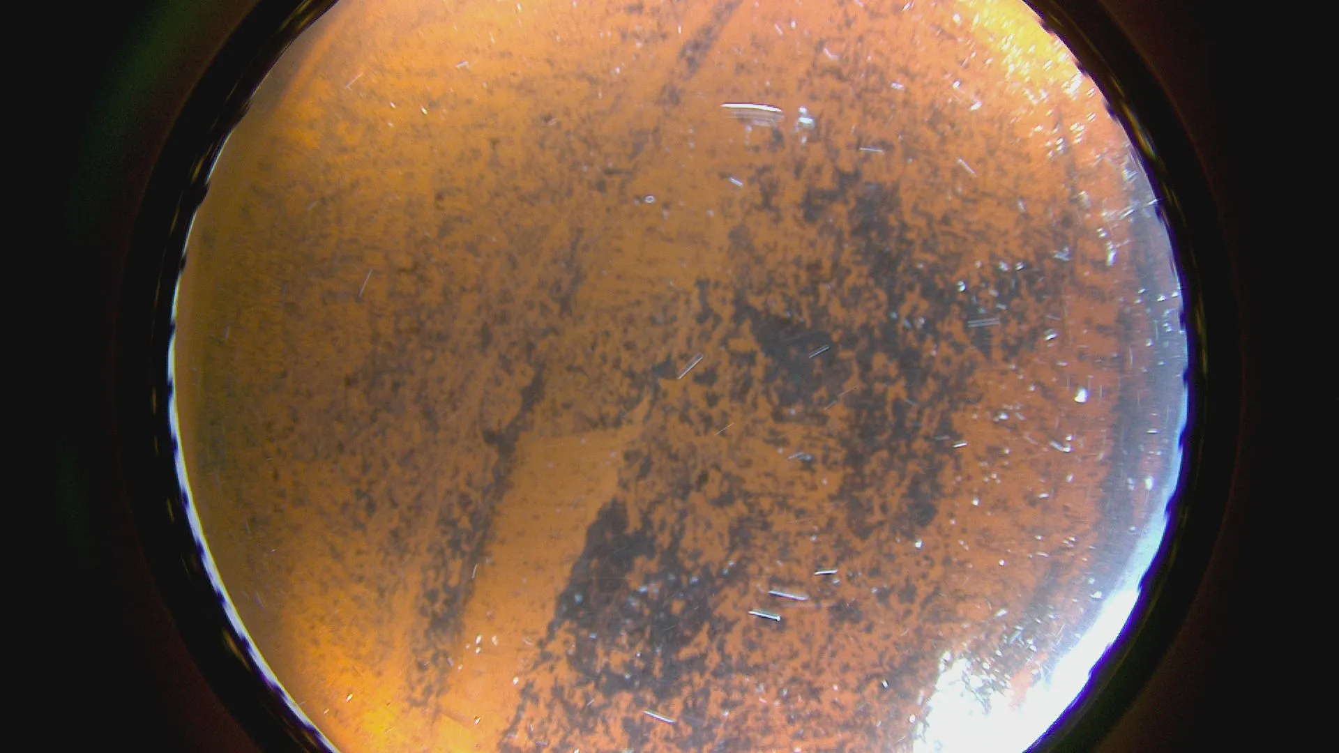 Coated test panel after a first cleaning pass, with patches of fouling remaining