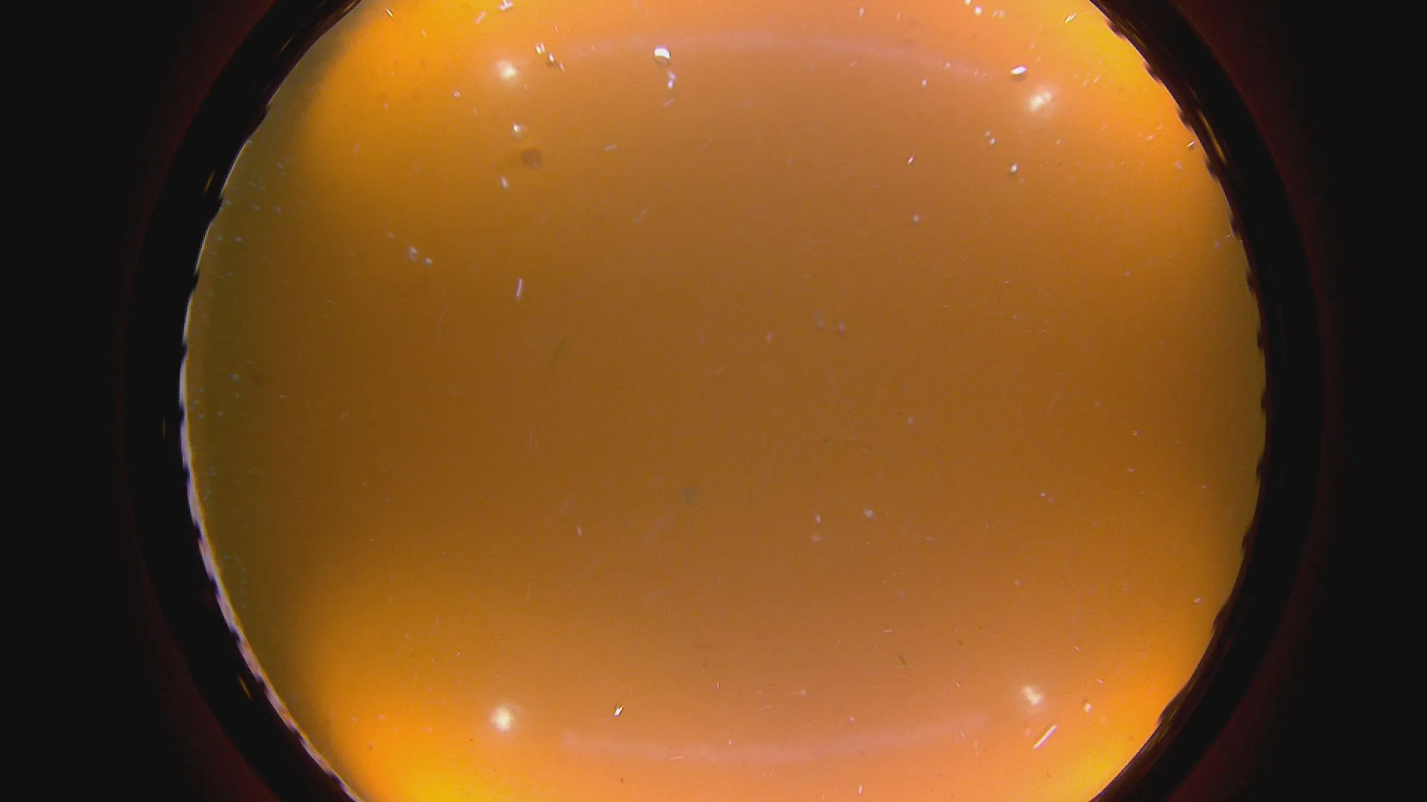 The same test panel after full cleaning: clean orange coating